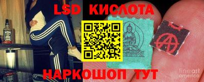 дживик Аргун