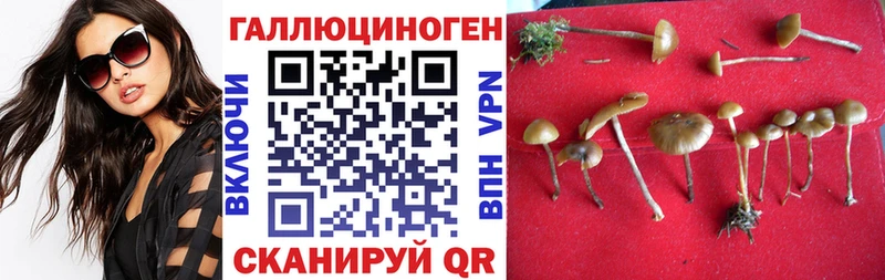 Галлюциногенные грибы Psilocybine cubensis  продажа наркотиков  Сыктывкар 