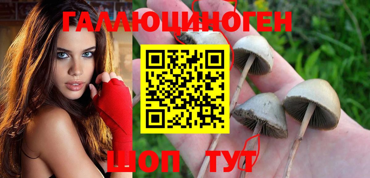 Псилоцибиновые грибы Magic Shrooms  Галлюциногенные грибы Magic Shrooms  Вход с VPN  Сыктывкар 