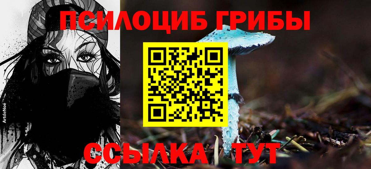 Галлюциногенные грибы мухоморы  Сыктывкар 