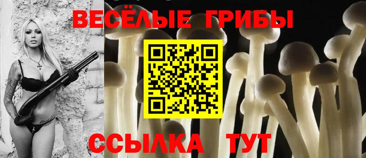 Галлюциногенные грибы Magic Shrooms Сыктывкар